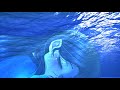 Makiko Ohmoto, Yuki Kaida ➤ Kujira no Uta (La canción de las Ballenas).