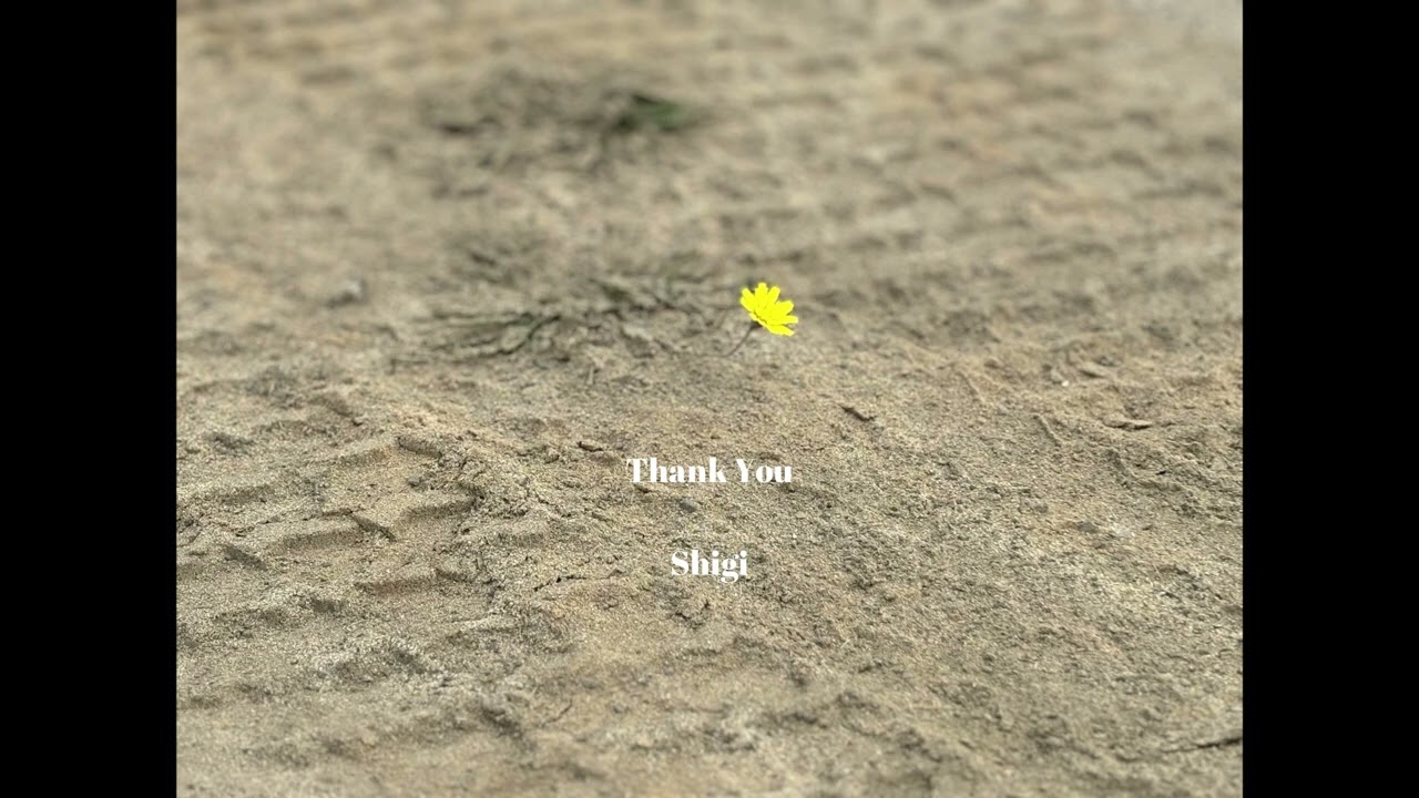 Shigi - Thank You (Full Mixtape)