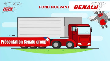 Présentation Benalu group