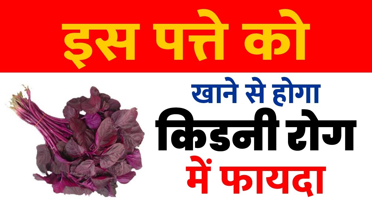 इस पत्ते को खाने से होगा किडनी रोग में फायदा Parsley for Kidney