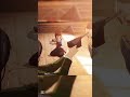 Eren being eren 🥶 #anime #popular #viral #trending #shorts #fyp #edit #meme #cool #Eren #erenyeager