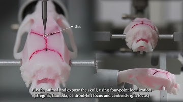 71001 Automated Stereotaxic Instruments Operation Video