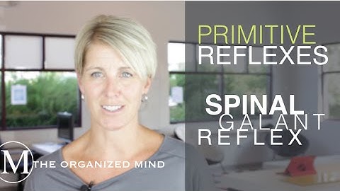 Primitive Reflexes-  Spinal Galant