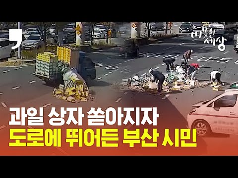 [따뜻한 세상] 과일 상자 쏟아지자 도로에 뛰어든 부산 시민