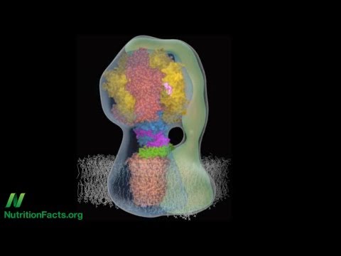 Vidéo: Sont les composants de l'adénosine triphosphate ?