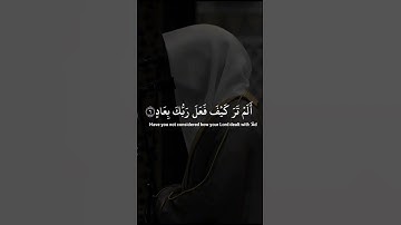 ما تيسر من سورة الفجر #اكسبلور #قرآن #ترند #راحة_نفسية #ماهر_المعيقلي #دويتو #duet
