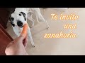 LE INVITO UNA #ZANAHORIA CRUDA A MI GALGA ESPAÑOLA 🥕🥕 Memorias de Geisha