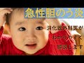 10分で学べる！胆嚢炎の原因・治療・手術【医師解説】2023