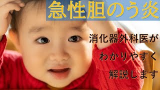 近況報告　また胆管炎になりましたVOL.24