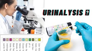 Laboratory urine analysis test 🔬( urinalysis )