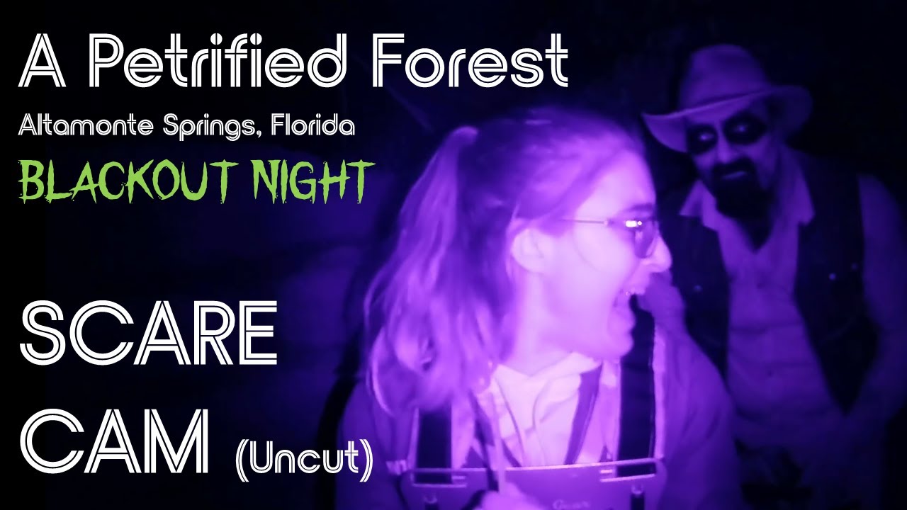 A Petrified Forest Blackout Night 2022 - Scare Cam UNCUT