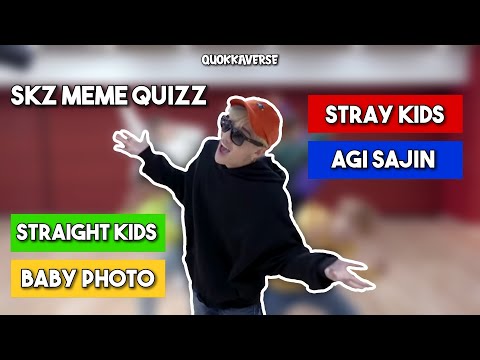 ¿Conoces todos los memes de Stray Kids?