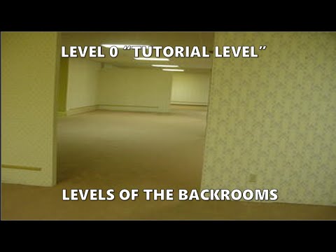 Image of level 0 of the backrooms