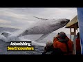 Astonishing Sea Encounters Caught On Camera