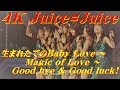 4K Juice=Juice  生まれたてのBaby Love ~ Magic of Love ~ Good bye &amp; Good luck!  &#39;19春  歌詞付
