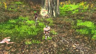 Raiderz hacker / US West / Fleetfoot