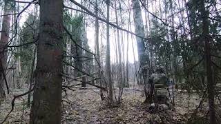 Ну, Да, Асгард, А Минусы Будут?