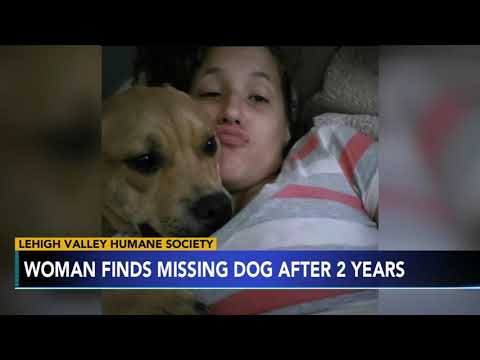 2 YEARS LATER: Woman finds missing dog while looking for new pet