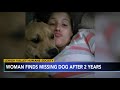 2 YEARS LATER: Woman finds missing dog while looking for new pet