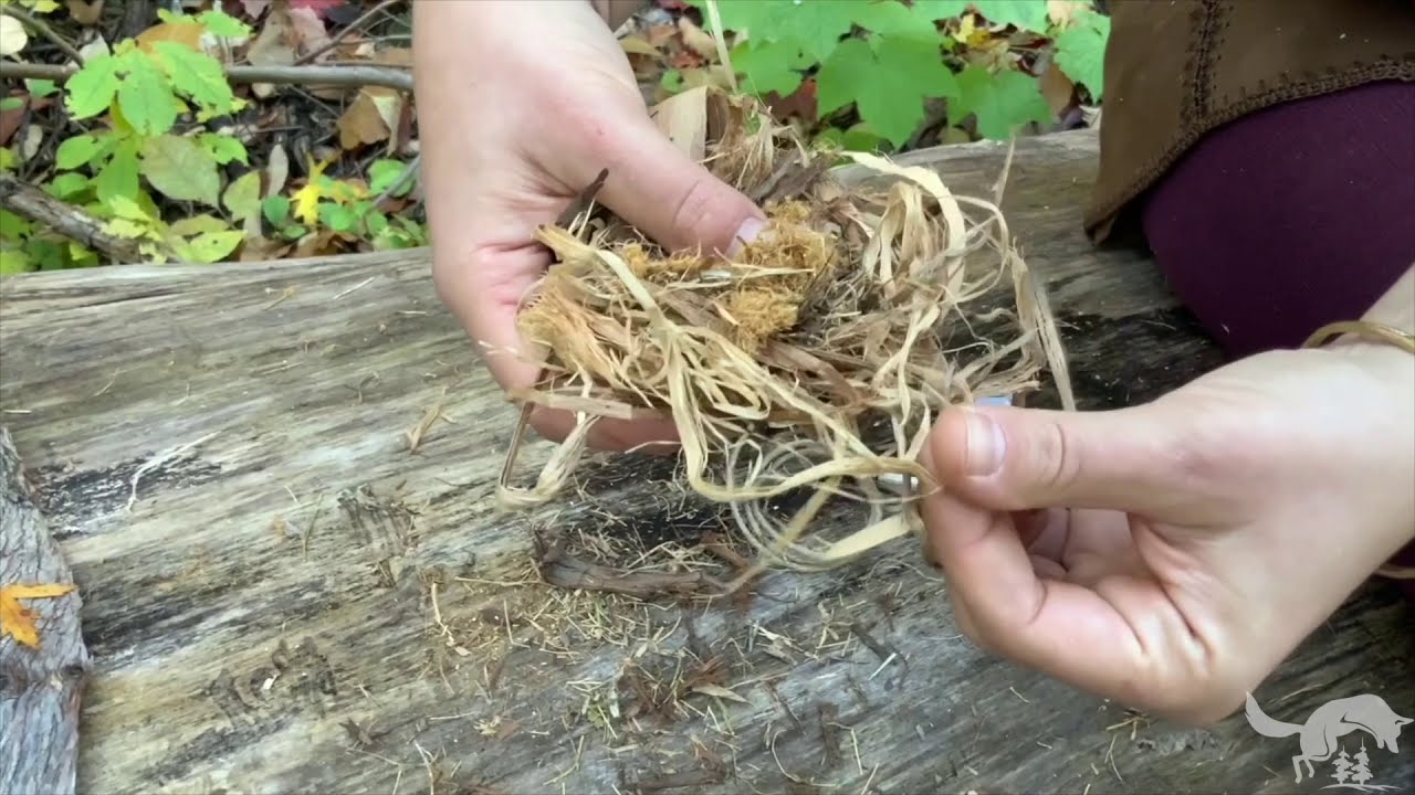 Allumez votre feu: Comment créer un Amadou