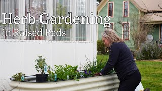 Herb Gardening🌱  Rejuvenating our Raised Beds for Culinary & Medicinal use