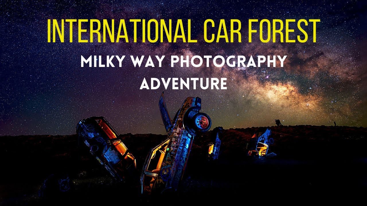 International car forest night photography adventure.