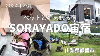 【ペットと泊まれる宿】夏休みに泊まったSORAYADO宙宿 山梨県都留市