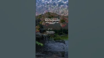 سورة ق #قرآن #اكسبلور #دويتو #تيك_توك #لايك #راحة_ #راحة_نفسية #حالات_واتس #duet #صباح_الخير