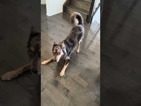 They Don’t Want You to Know This…