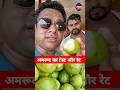 Purnea Khushkibagh Mandi: Amrud Ka Rate Aur Taste 🍏 Purnea Khabar