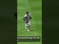wild mlb moment 😳 @MLB