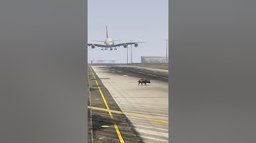 Terrifying Moment: Boar on Runway as A380 Lands