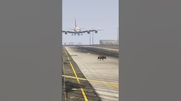 Terrifying Moment: Boar on Runway as A380 Lands