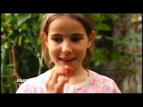 Pas de panique: des arbres fruitiers dans votre jardin - Silence, ça pousse !