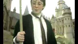 Harry Potter & the Slightly Strange Pursuit - Verulam School