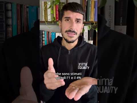 We explain the guidelines to stop the slaughter of male chicks in Italy.