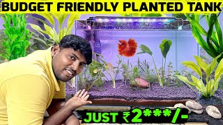 Easy Planted Tank Setup in Tamil | Explore the Wonders of My Planted Tank Aquarium | Muralis Vlog