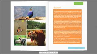 How To Add Dflip Pdf Flipbook In Divi Theme?