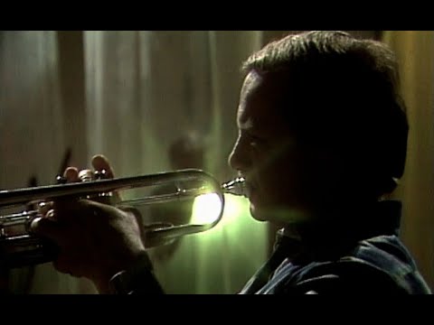 Václav Týfa - Jen tak jít (1981)