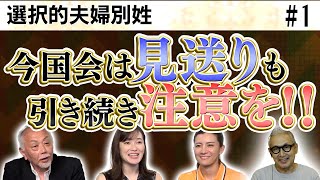 選択的夫婦別姓、今国会は見送り／衆院法務委員会、参考人質疑での出来事／自民党はもう保守じゃない？！／自民党は曖昧なまま通常国会閉幕に持ち込みたいのか【Sayaの銀座で５時!!】①