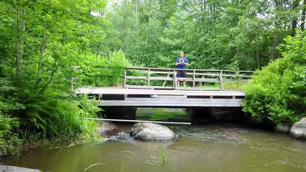 DJI MAVIC PRO SECOND FLIGHT AND CRASH