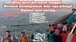 Detik2 km pasar senggol berhasil mendapatkan ikan roja/julung julung dipulau nuso barong