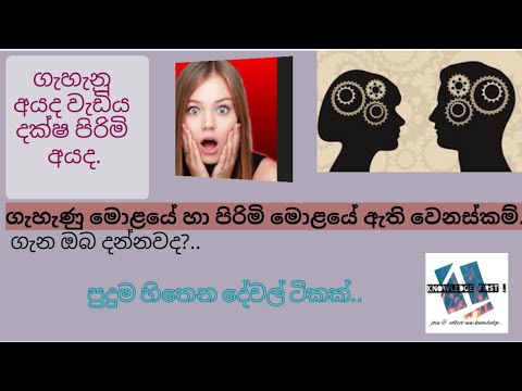 ගැහැණු මොළයේ හා පිරිමි මෙළයේ අතර ඇති වෙනස|knowledge first online.