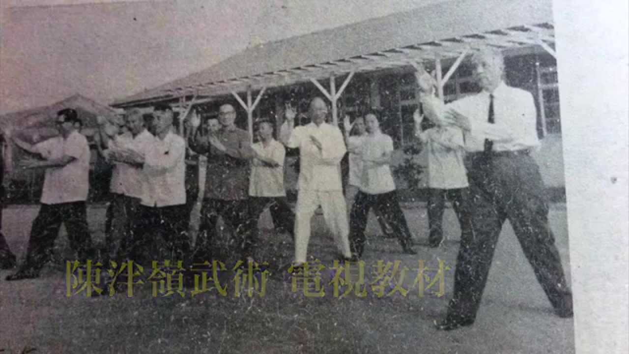 Chen Pan Ling 's martial arts video  99 taiji  quan