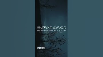 تلاوة هادئة تريح الأعصاب