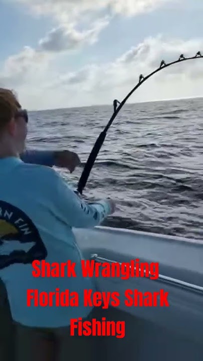 Shark fishing Florida Keys Shark Catch and Release #outdoors #fishing #