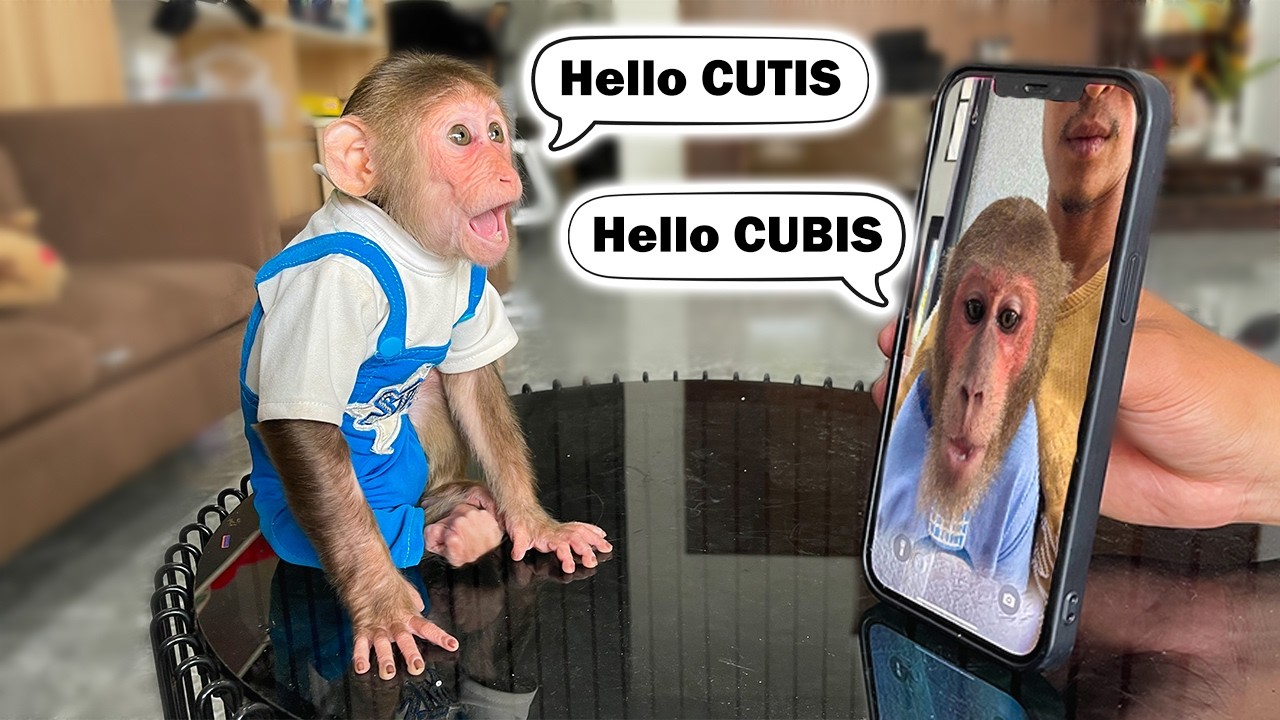 CUBIS calls CUTIS on smartphone after many days apart!