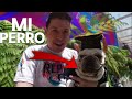 lleve a MI PERRO a un programa de &quot;TELEVISION&quot; - MarioBLOGS