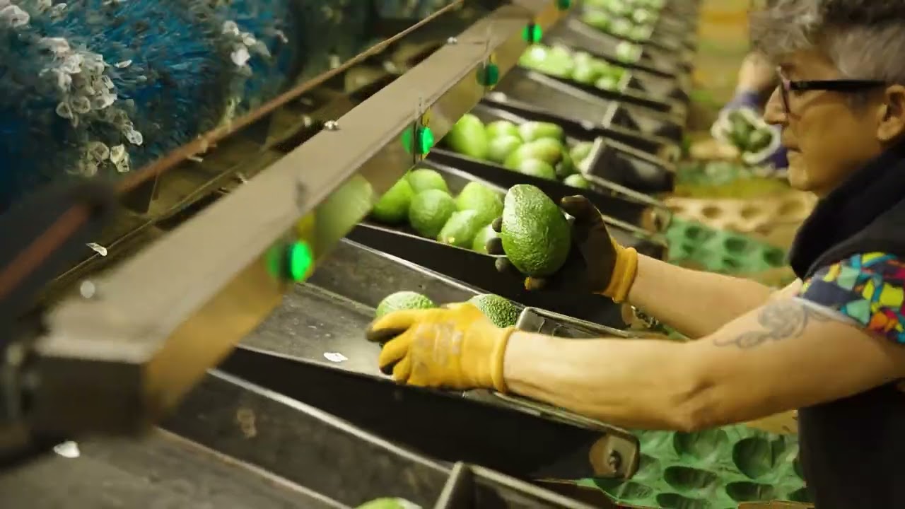 45 Blanck Road, Ravensbourne