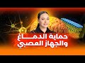 ذاكرة فولاذية دماغ من حديد جهاز عصبي قوي حماية وتشافي من الأمراض 